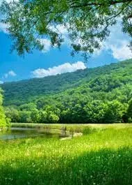 Биомасса - Юрий Муляр