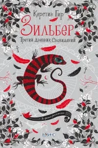 Зильбер 3. Третий дневник сновидений - Керстин Гир
