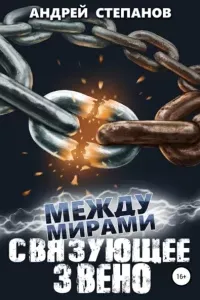 Между мирами 7. Связующее звено - Андрей Степанов