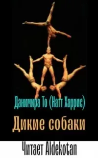 Дикие собаки - Данимира То