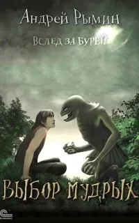 Вслед за Бурей 3. Выбор мудрых - Андрей Рымин