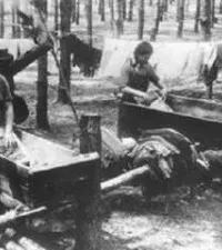 Спасибо вам, труженицы армейского тыла - Александр Борсук