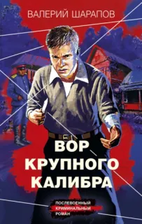 Короли городских окраин 2. Вор крупного калибра - Валерий Шарапов