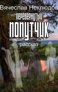 Перевернутый попутчик - Вячеслав Неклюдов