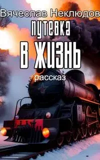 Путевка в жизнь - Вячеслав Неклюдов