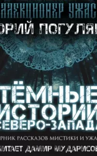 Тёмные истории Северо-Запада - Юрий Погуляй