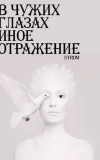В чужих глазах иное отражение - Станислав Романов