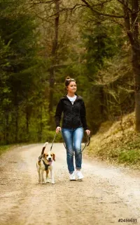 Женщина и собака - Инна Гофф