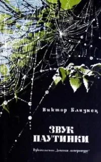 Звук паутинки - Виктор Близнец