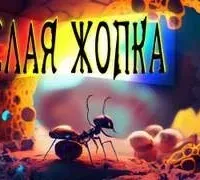 Кислая жопка - Евгений Шиков