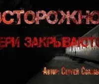 Осторожно, двери закрываются - Сергей Соловьев
