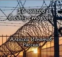 16 шагов в одну сторону - Алексей Игнатов