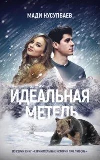 Идеальная метель - Мади Нусупбаев