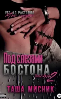 Под слезами Бостона. Часть 2 - Таша Мисник