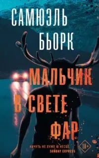 Холгер Мунк и Миа Крюгер 3. Мальчик в свете фар - Самюэль Бьорк