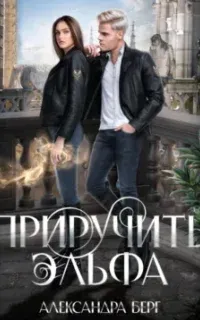 Приручить Эльфа - Александра Берг