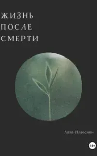 Жизнь после смерти - Лиза Илвеснен