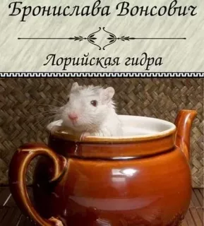 Королевства Рикайна 4. Лорийская гидра - Бронислава Вонсович