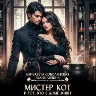 Мистер Кот и тот кто в доме живет - Елизавета Соболянская, Юлия Ляпина