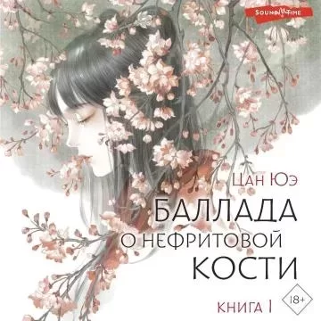 Зеркало 1. Баллада о нефритовой кости. Книга 1 - Юэ Цан