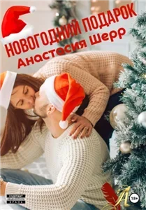Новогодний подарок - Анастасия Шерр