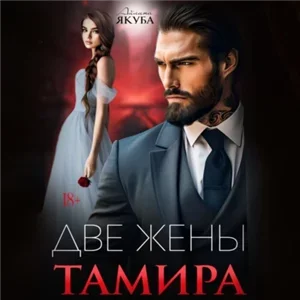 Три короля 1. Две жены Тамира - Айлина Якуба