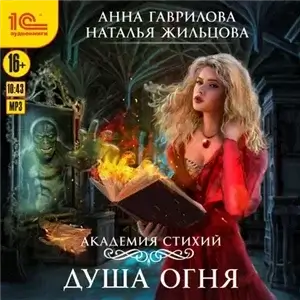 Академия Стихий 2. Душа Огня - Наталья Жильцова,  Анна Гаврилова