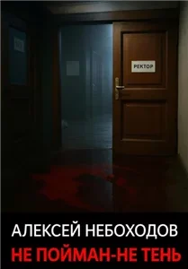 Не пойман – не тень - Алексей Небоходов