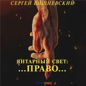Янтарный свет 3. …Право… - Сергей Вишневский