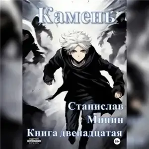 Камень. Книга 12 - Станислав Минин