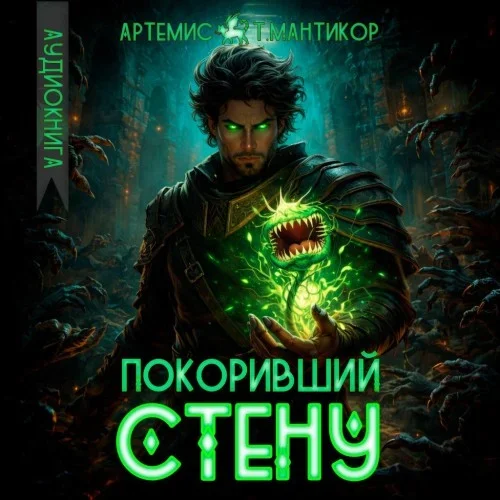 Покоривший СТЕНУ. Книга 1 - Артемис Т.Мантикор