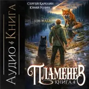 Пламенев. Книга 4 - Сергей Карелин, Юрий Розин