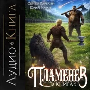 Пламенев. Книга 5 - Сергей Карелин, Юрий Розин