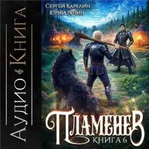 Пламенев. Книга 6 - Сергей Карелин, Юрий Розин