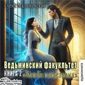 Ведьминский факультет 2. Котел невезения - Елена Малиновская