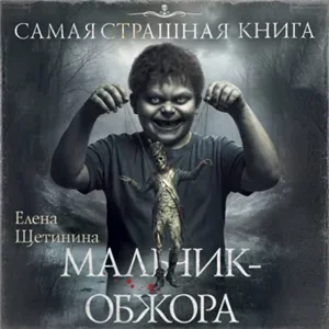Мальчик-обжора - Елена Щетинина