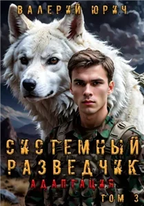 Системный разведчик. Том 3. Адаптация - Валерий Юрич